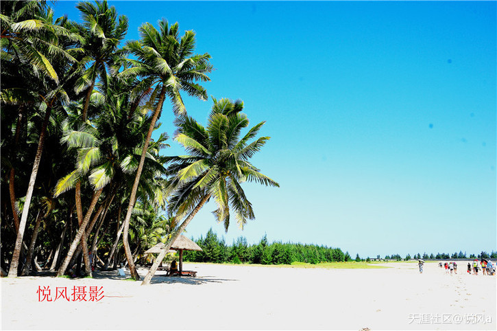 【文昌美食】舌尖上的文昌------美食之旅纪实