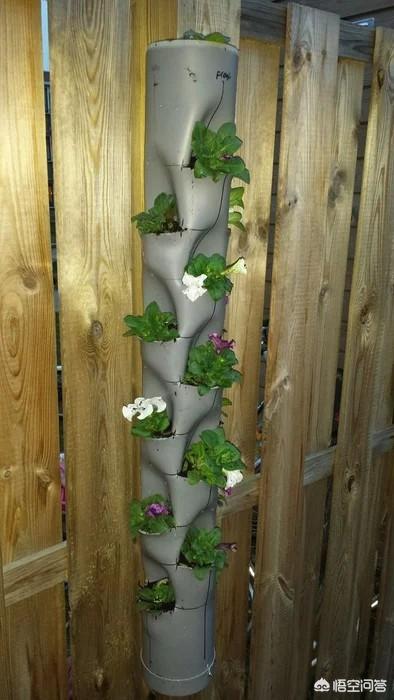 生活中的PVC管养花、种菜，既美观又实用，大家有好的创意一起分享一下？