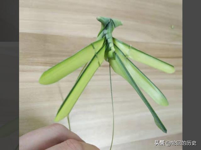 棕叶编织蜻蜓方法？