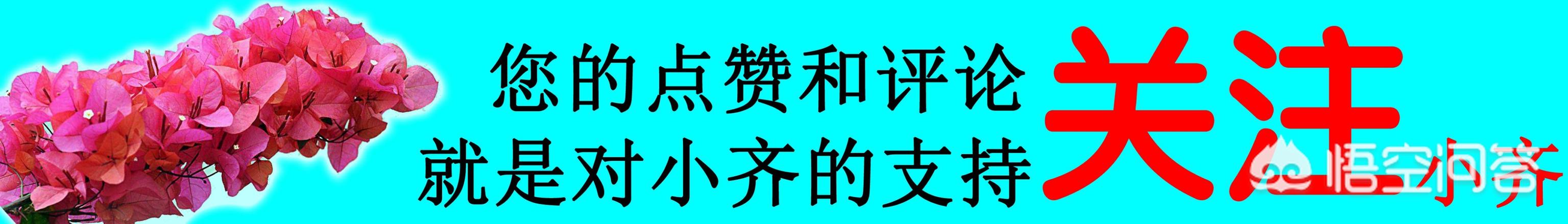 请问红掌叶片与花朵长黄斑，是什么原因？该如何处理？