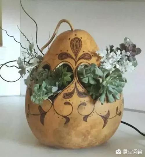 用葫芦做花盆养花可以吗？有什么好处吗？