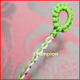 2万买的翡翠珠链，绳子值2.8，这是什么绳子啊？